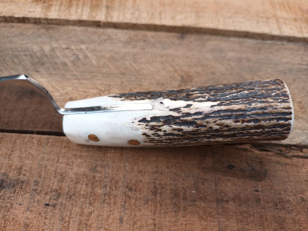 Parrillas Argentinas, Cuchilla Ciervo Full, hoja 24 cm - Imagen 3